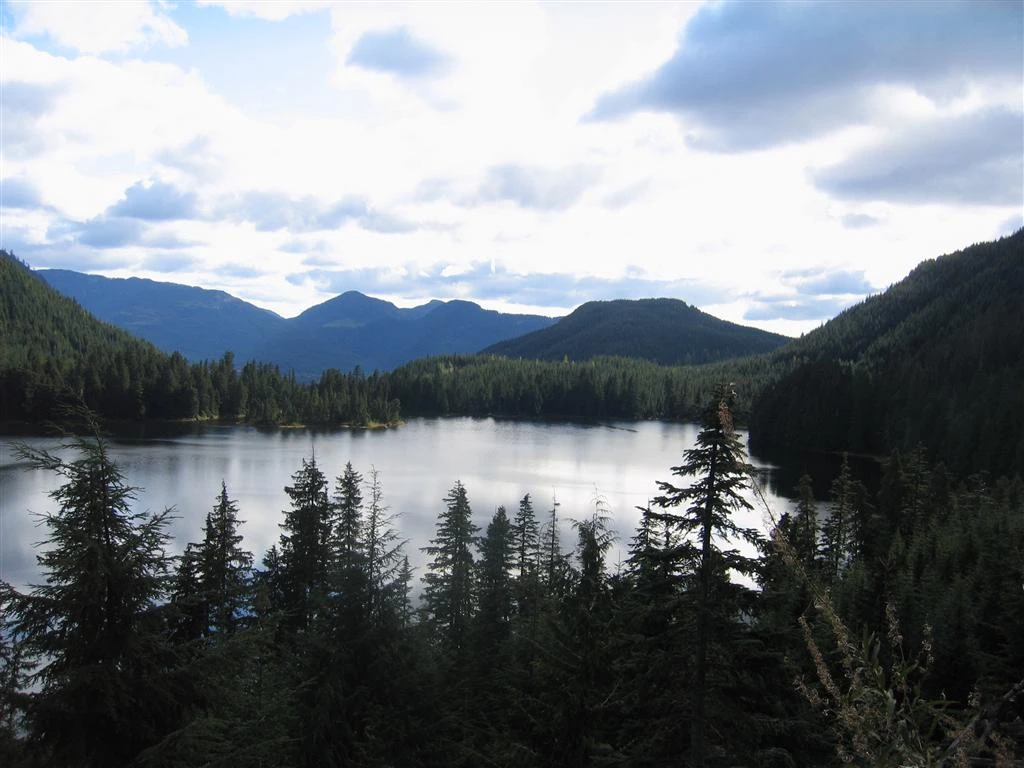 Photo: Recreation Sites and Trails BC. © Province of British Columbia, licensed under the Open Government Licence – British Columbia. Kenyon Lake, photo 2