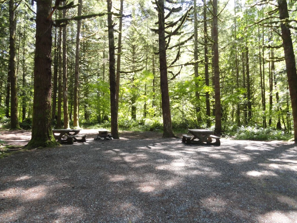 Photo: Recreation Sites and Trails BC. © Province of British Columbia, licensed under the Open Government Licence – British Columbia. Thurston Meadows