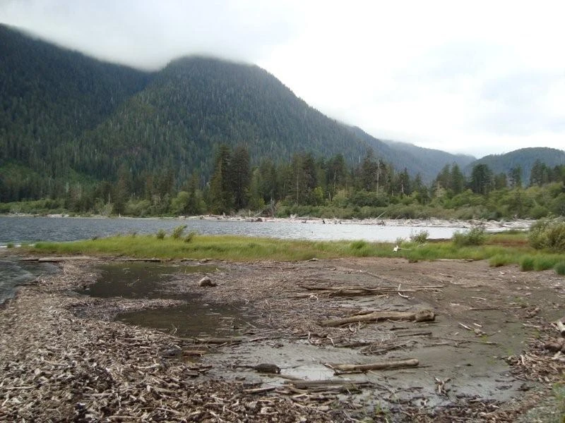 Photo: Recreation Sites and Trails BC. © Province of British Columbia, licensed under the Open Government Licence – British Columbia. Nahmint Lake, photo 2