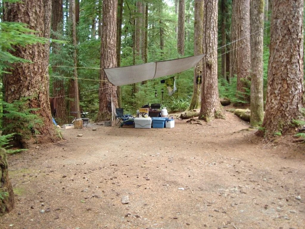 Photo: Recreation Sites and Trails BC. © Province of British Columbia, licensed under the Open Government Licence – British Columbia. Nahmint Lake