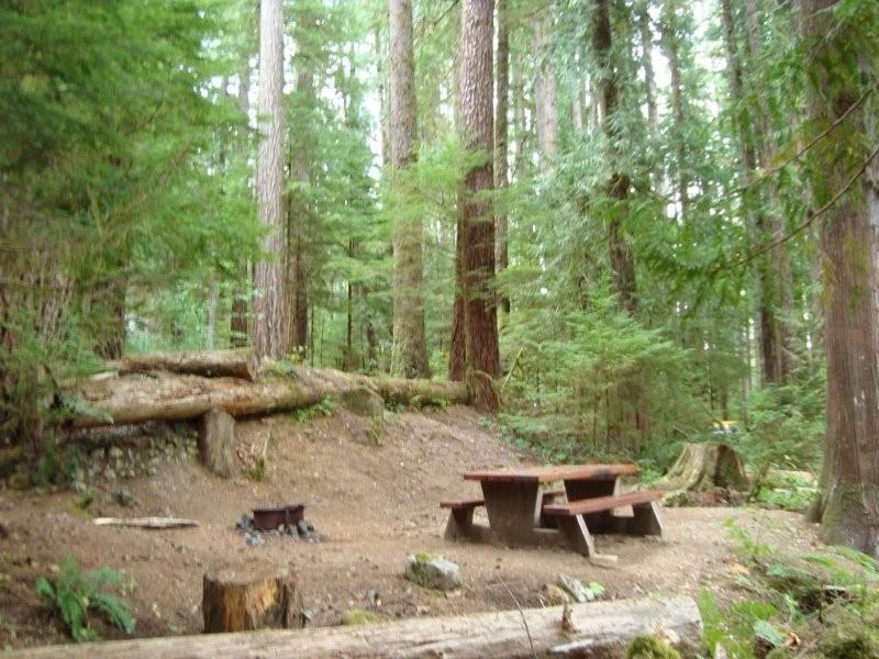 Photo: Recreation Sites and Trails BC. © Province of British Columbia, licensed under the Open Government Licence – British Columbia. Nahmint Lake, photo 3