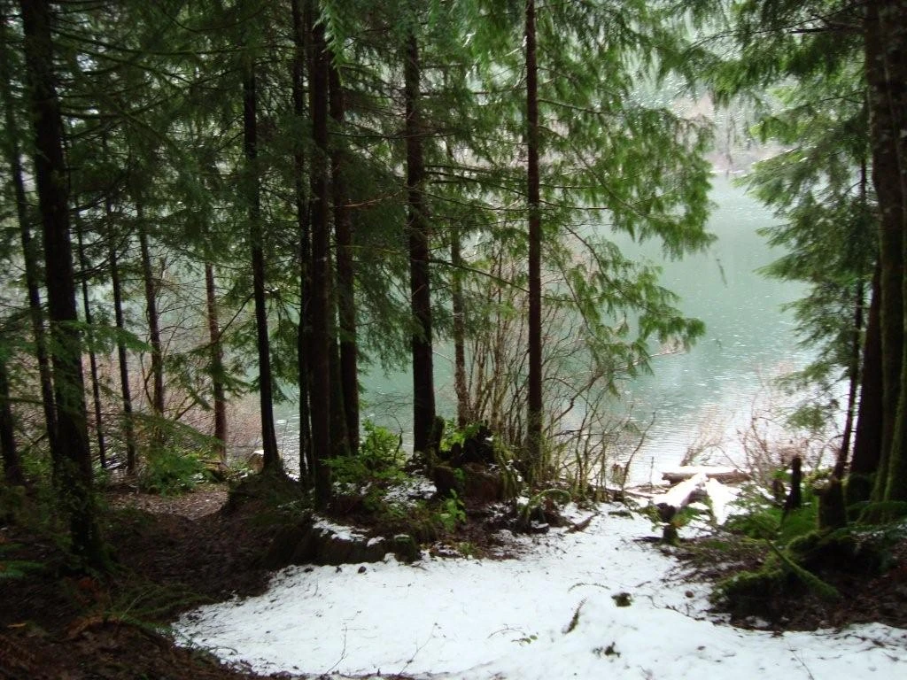 Photo: Recreation Sites and Trails BC. © Province of British Columbia, licensed under the Open Government Licence – British Columbia. Flora Lake