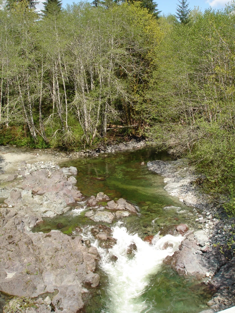 Photo: Recreation Sites and Trails BC. © Province of British Columbia, licensed under the Open Government Licence – British Columbia. Flora Lake, photo 4