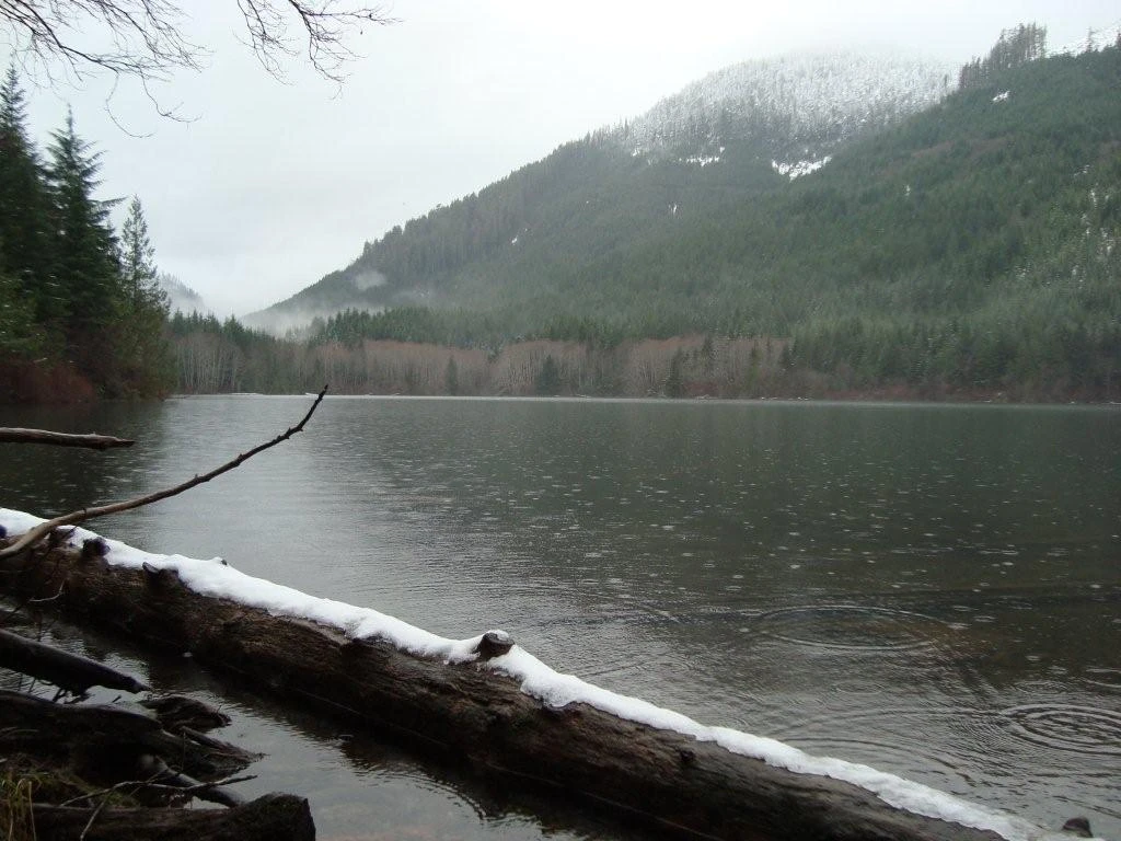 Photo: Recreation Sites and Trails BC. © Province of British Columbia, licensed under the Open Government Licence – British Columbia. Flora Lake, photo 2