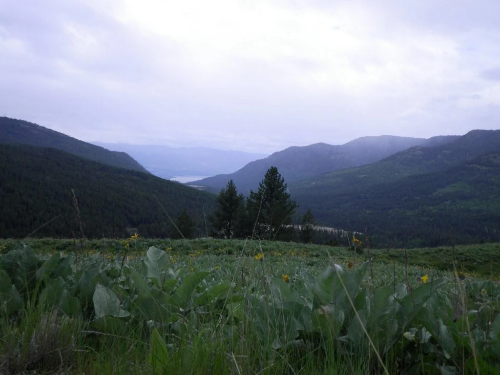 Photo: Recreation Sites and Trails BC. © Province of British Columbia, licensed under the Open Government Licence – British Columbia. Bear Creek, photo 8