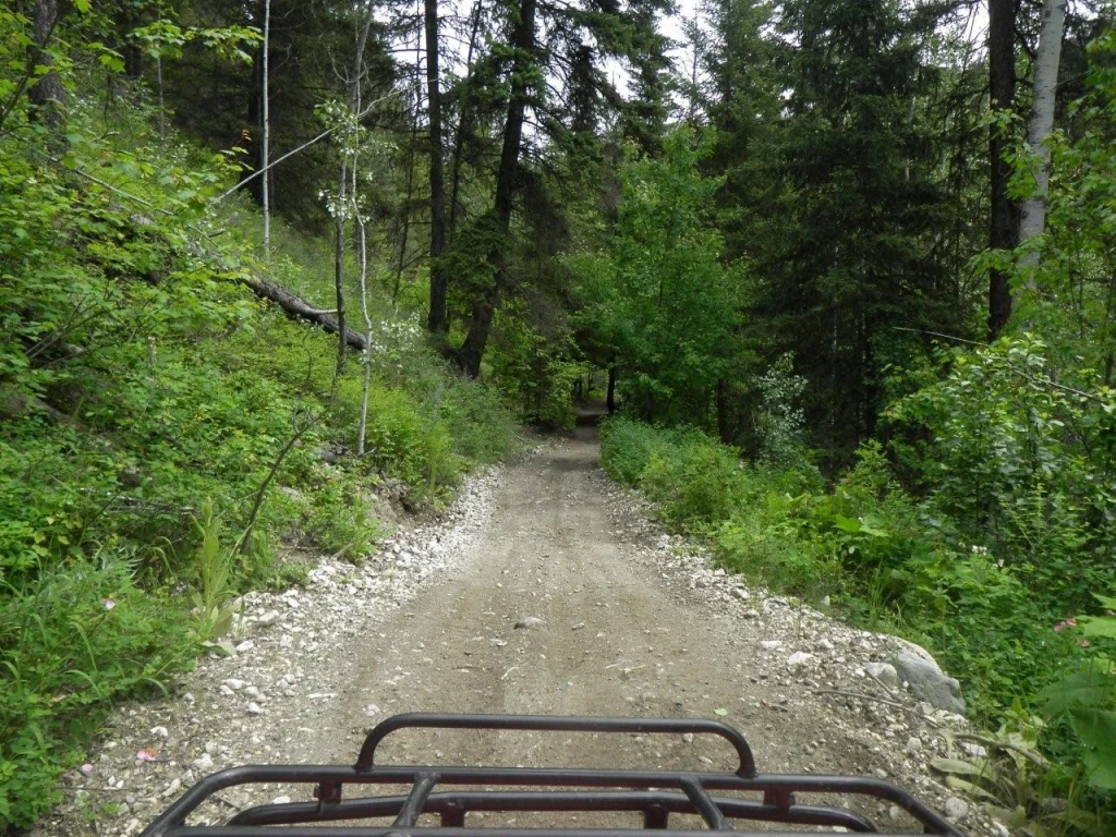 Photo: Recreation Sites and Trails BC. © Province of British Columbia, licensed under the Open Government Licence – British Columbia. Bear Creek, photo 20