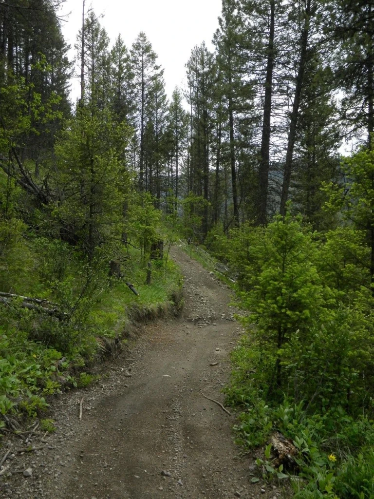 Photo: Recreation Sites and Trails BC. © Province of British Columbia, licensed under the Open Government Licence – British Columbia. Bear Creek, photo 12