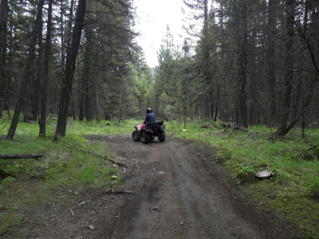 Photo: Recreation Sites and Trails BC. © Province of British Columbia, licensed under the Open Government Licence – British Columbia. Bear Creek, photo 18