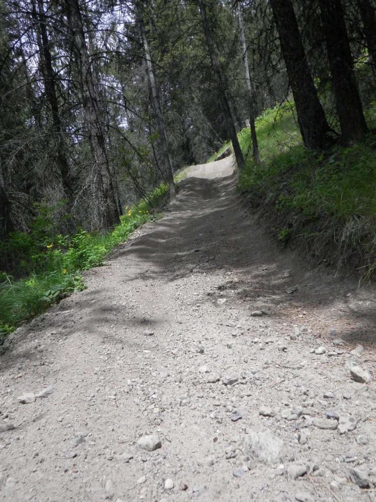 Photo: Recreation Sites and Trails BC. © Province of British Columbia, licensed under the Open Government Licence – British Columbia. Bear Creek, photo 14