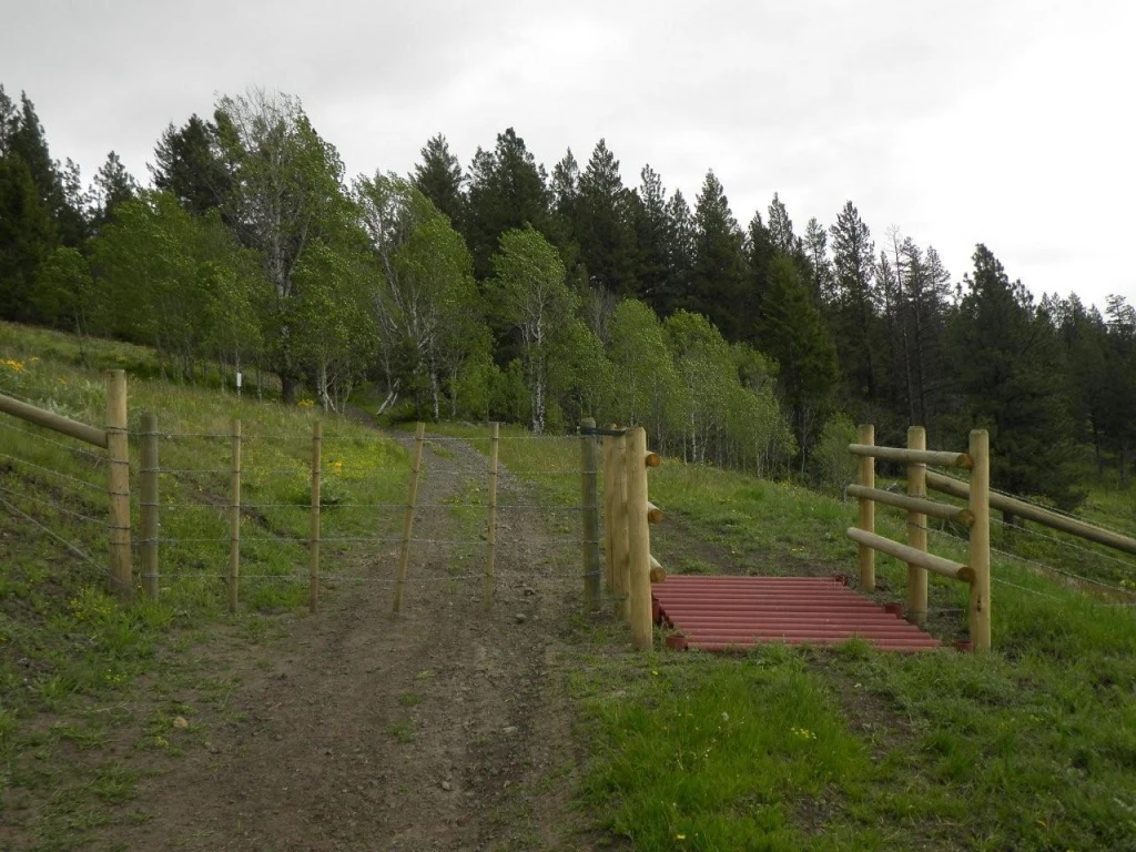 Photo: Recreation Sites and Trails BC. © Province of British Columbia, licensed under the Open Government Licence – British Columbia. Bear Creek, photo 9