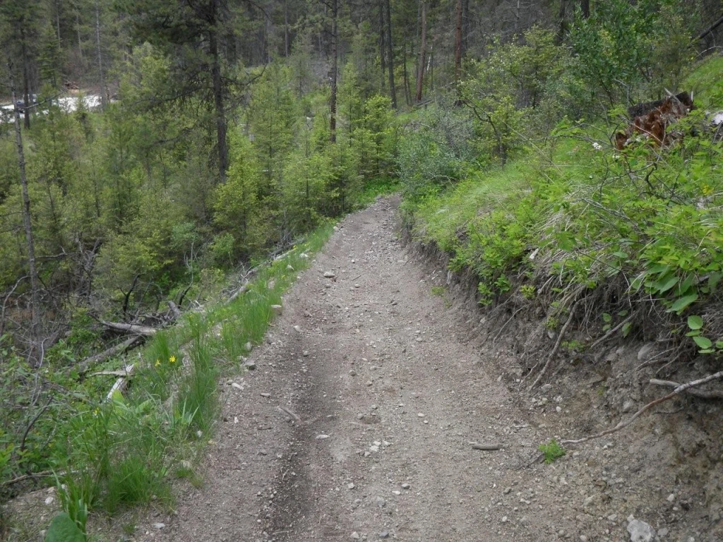 Photo: Recreation Sites and Trails BC. © Province of British Columbia, licensed under the Open Government Licence – British Columbia. Bear Creek, photo 13