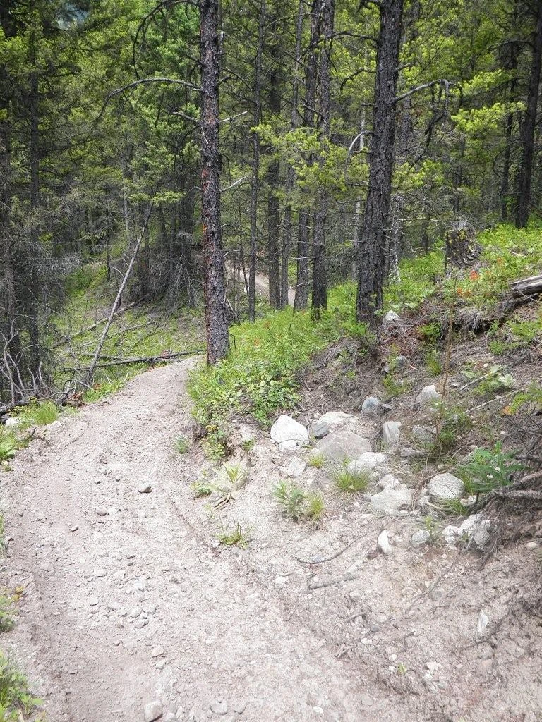 Photo: Recreation Sites and Trails BC. © Province of British Columbia, licensed under the Open Government Licence – British Columbia. Bear Creek, photo 2