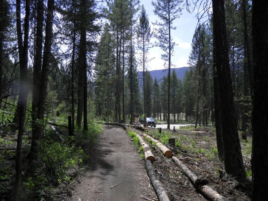 Photo: Recreation Sites and Trails BC. © Province of British Columbia, licensed under the Open Government Licence – British Columbia. Bear Creek, photo 15
