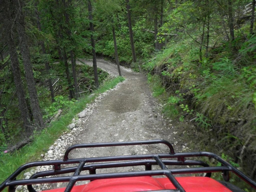 Photo: Recreation Sites and Trails BC. © Province of British Columbia, licensed under the Open Government Licence – British Columbia. Bear Creek, photo 17
