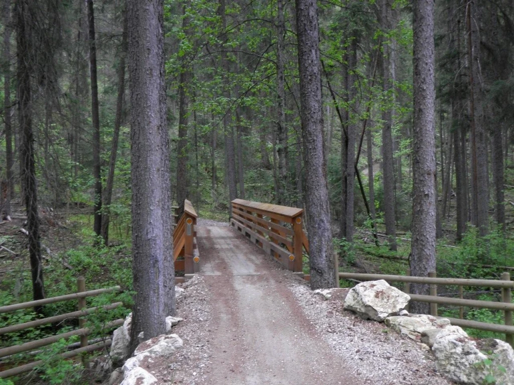 Photo: Recreation Sites and Trails BC. © Province of British Columbia, licensed under the Open Government Licence – British Columbia. Bear Creek, photo 7