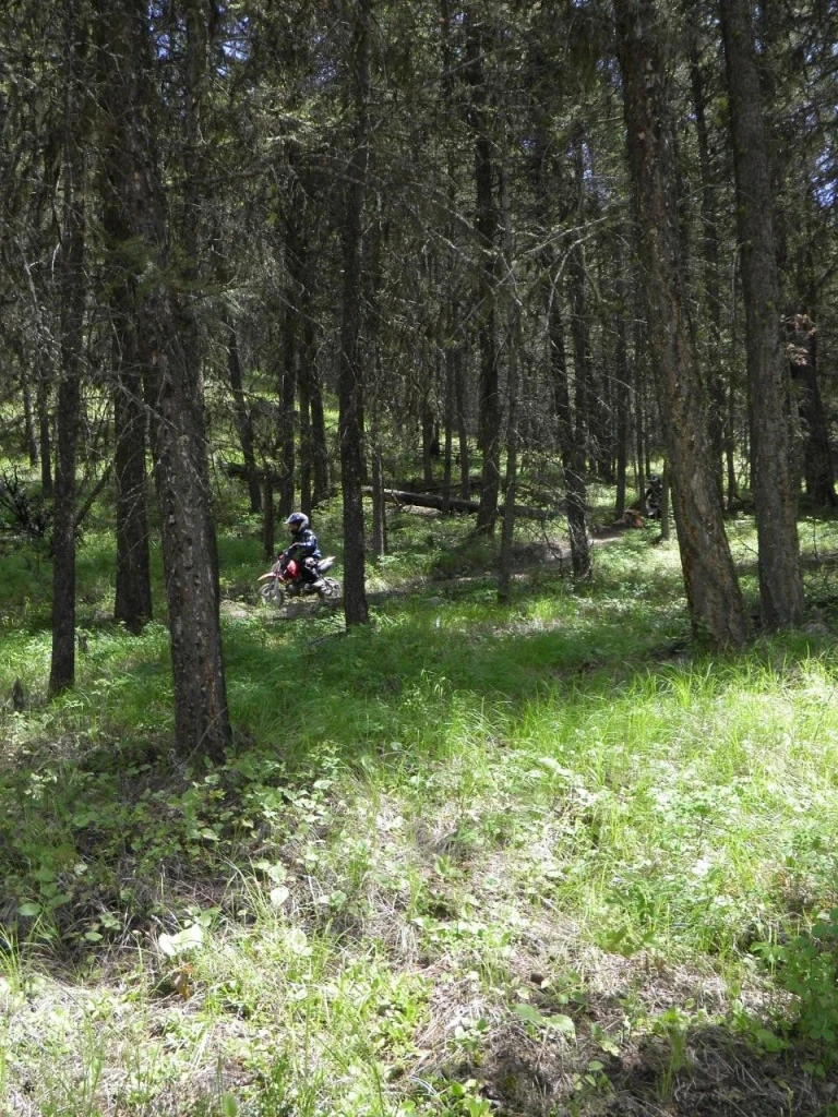 Photo: Recreation Sites and Trails BC. © Province of British Columbia, licensed under the Open Government Licence – British Columbia. Bear Creek, photo 23