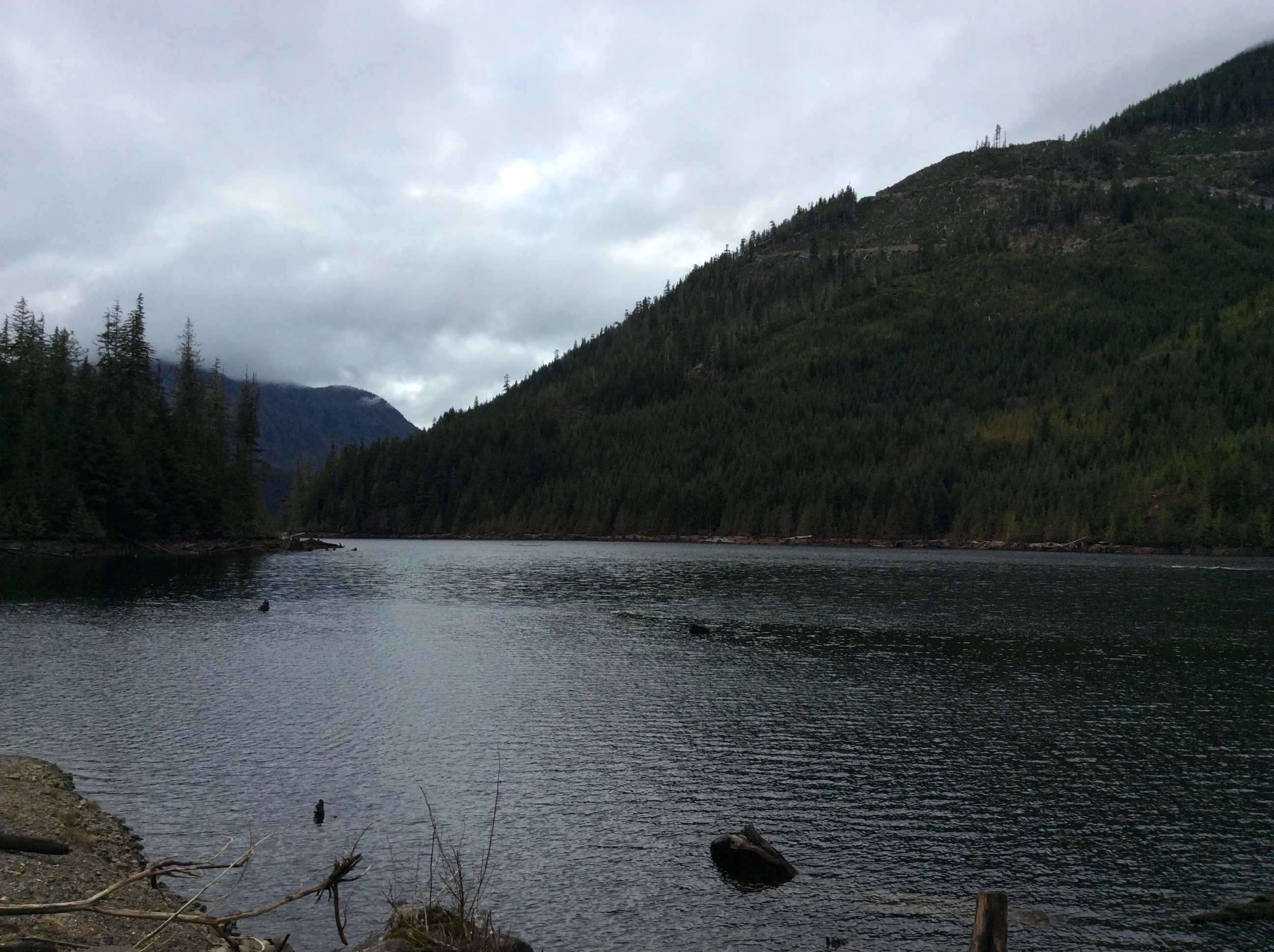 Photo: Recreation Sites and Trails BC. © Province of British Columbia, licensed under the Open Government Licence – British Columbia. Maynard Lake