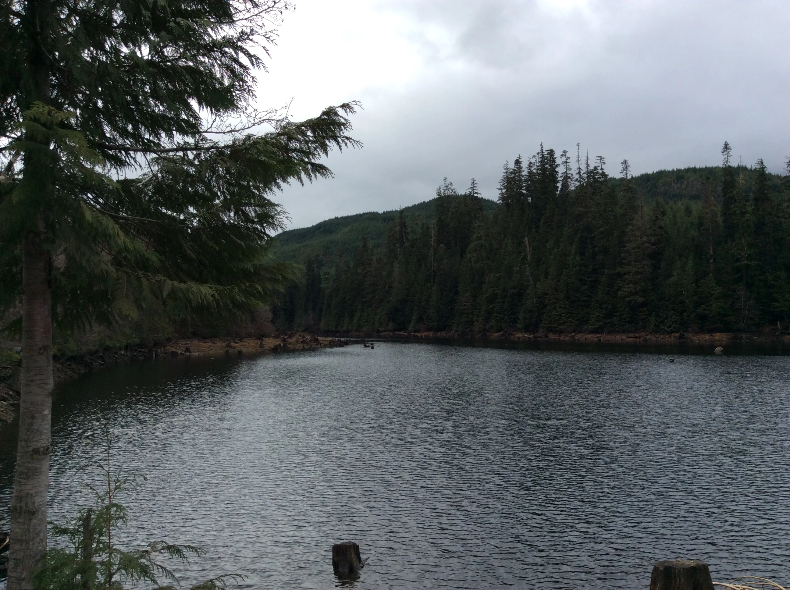 Photo: Recreation Sites and Trails BC. © Province of British Columbia, licensed under the Open Government Licence – British Columbia. Maynard Lake, photo 2