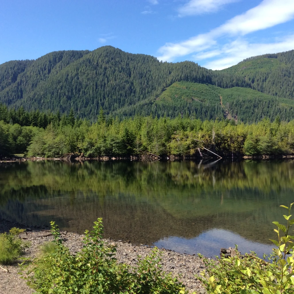 Photo: Recreation Sites and Trails BC. © Province of British Columbia, licensed under the Open Government Licence – British Columbia. Spruce Bay, photo 3