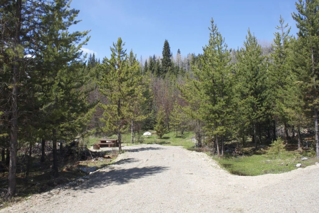 Photo: Recreation Sites and Trails BC. © Province of British Columbia, licensed under the Open Government Licence – British Columbia. Mayson Lake North, photo 3
