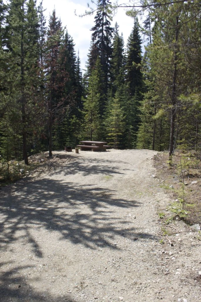 Photo: Recreation Sites and Trails BC. © Province of British Columbia, licensed under the Open Government Licence – British Columbia. Mayson Lake North