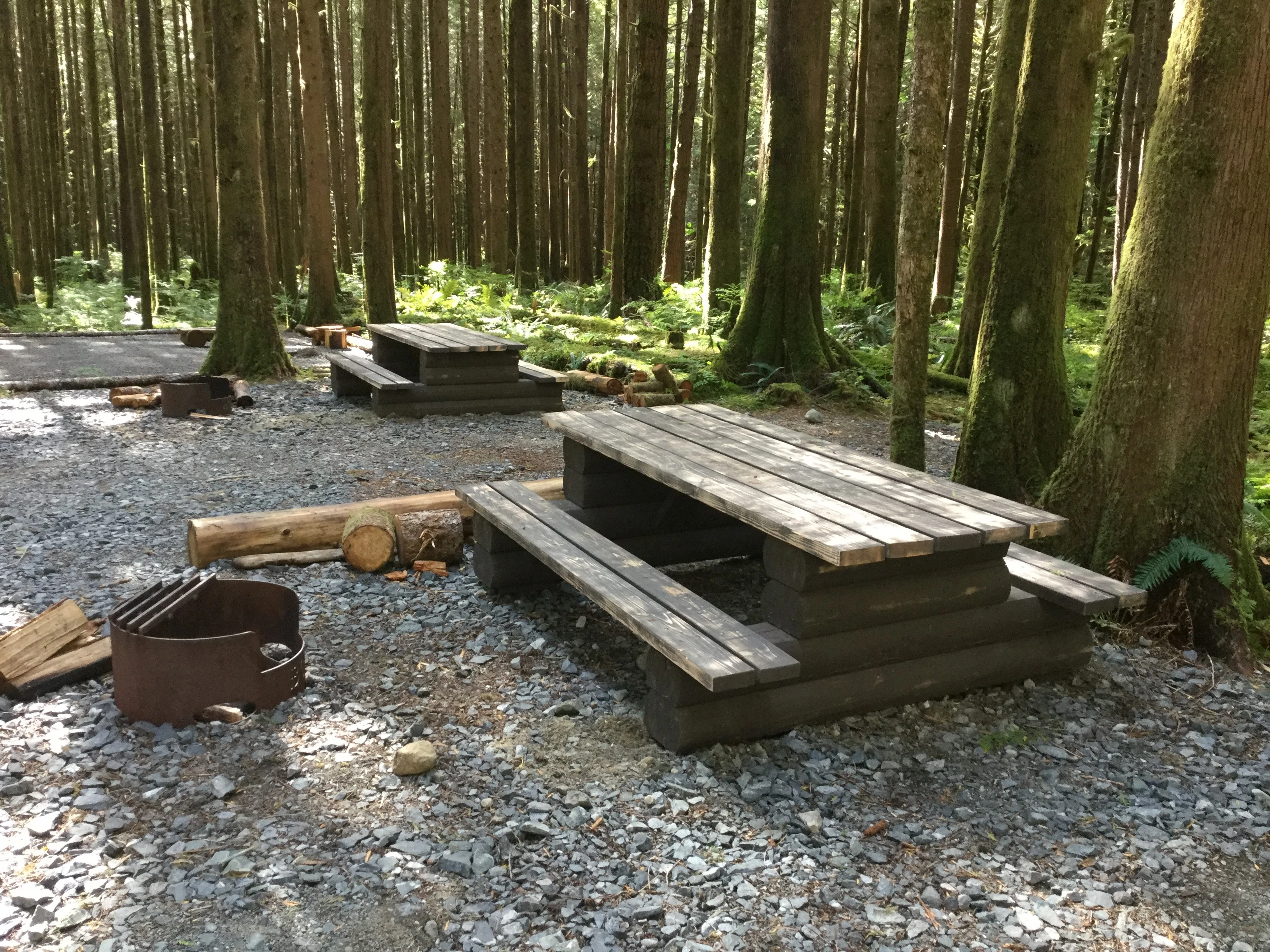 Photo: Recreation Sites and Trails BC. © Province of British Columbia, licensed under the Open Government Licence – British Columbia. Eldred River, photo 5