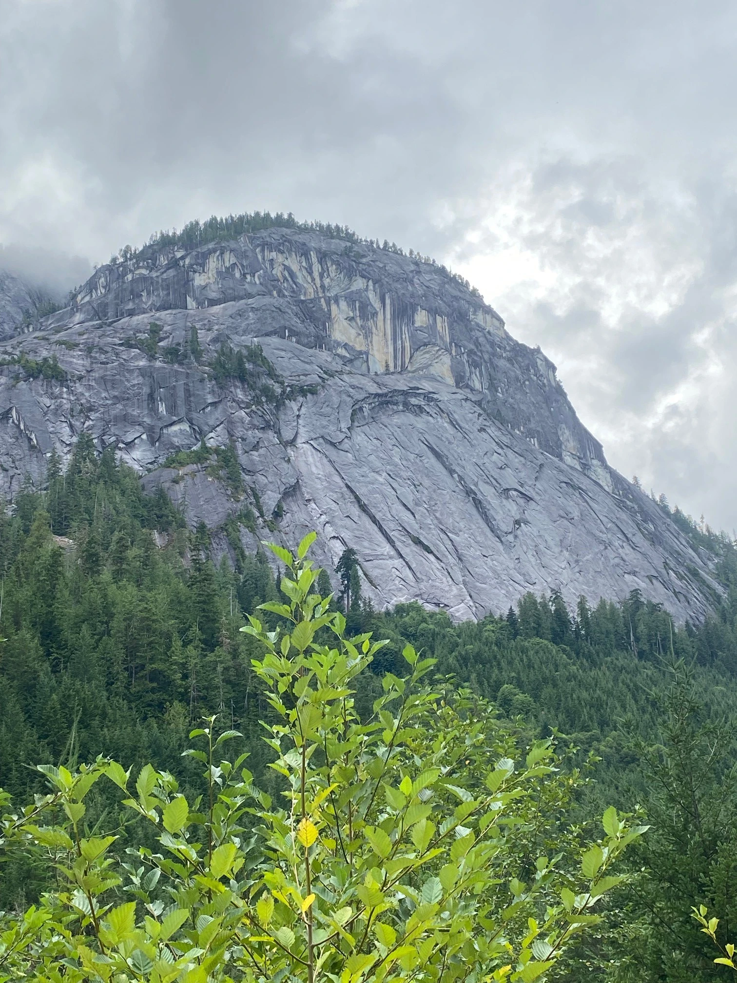 Photo: Recreation Sites and Trails BC. © Province of British Columbia, licensed under the Open Government Licence – British Columbia. Eldred River