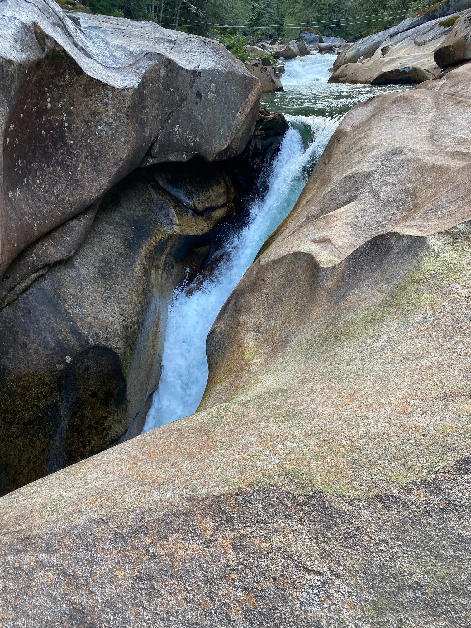 Photo: Recreation Sites and Trails BC. © Province of British Columbia, licensed under the Open Government Licence – British Columbia. Eldred River, photo 3