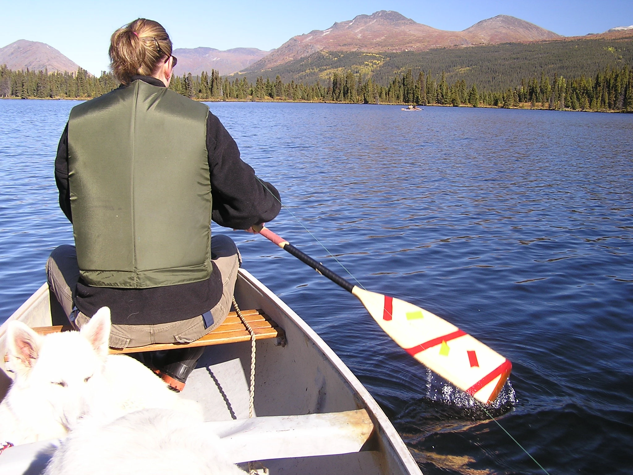 Photo: Recreation Sites and Trails BC. © Province of British Columbia, licensed under the Open Government Licence – British Columbia. Mcdonald Lake
