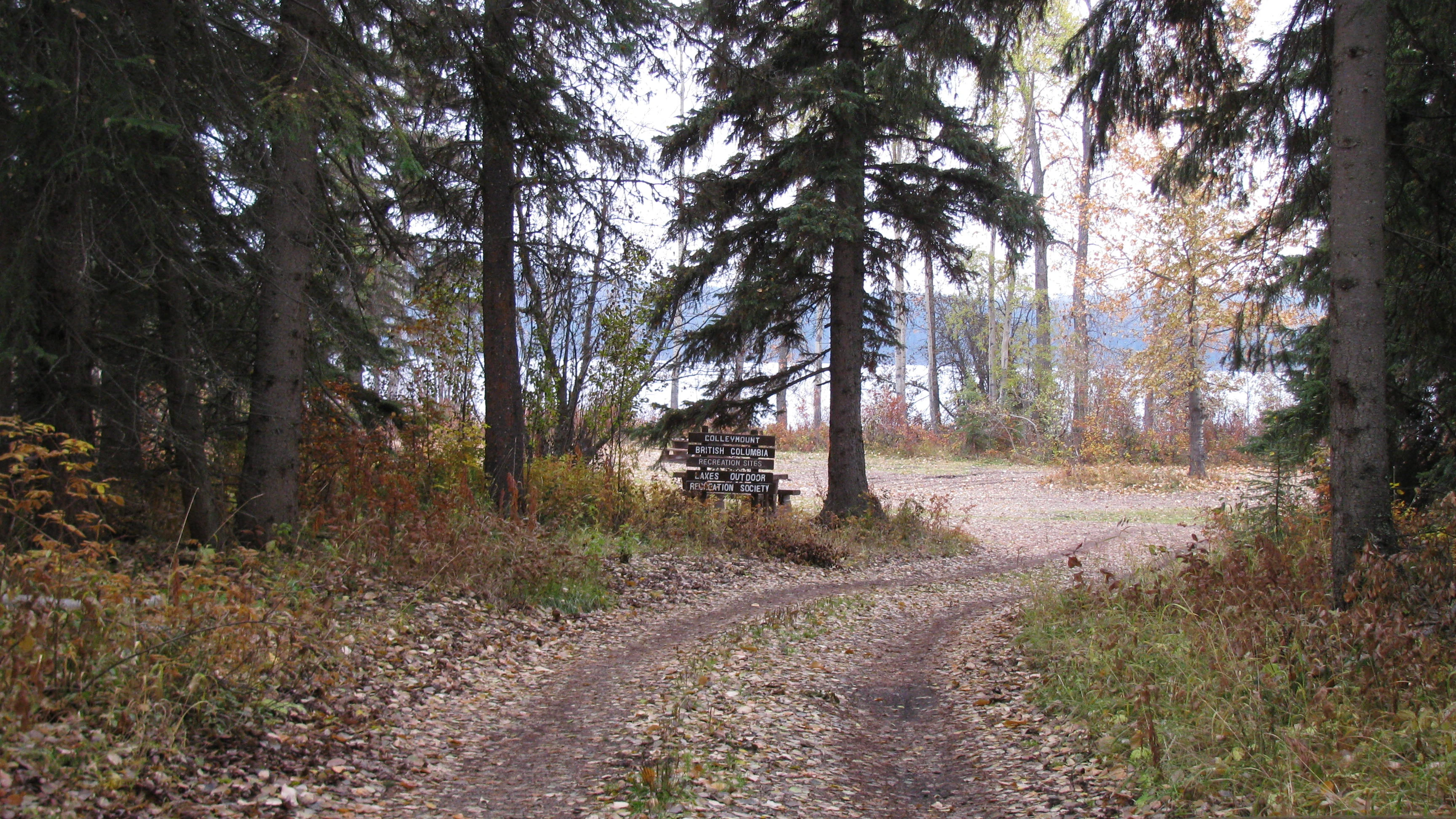 Photo: Recreation Sites and Trails BC. © Province of British Columbia, licensed under the Open Government Licence – British Columbia. Colleymount, photo 2