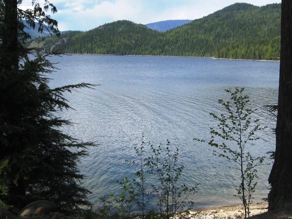 Photo: Recreation Sites and Trails BC. © Province of British Columbia, licensed under the Open Government Licence – British Columbia. Tsikwustum Creek North, photo 5