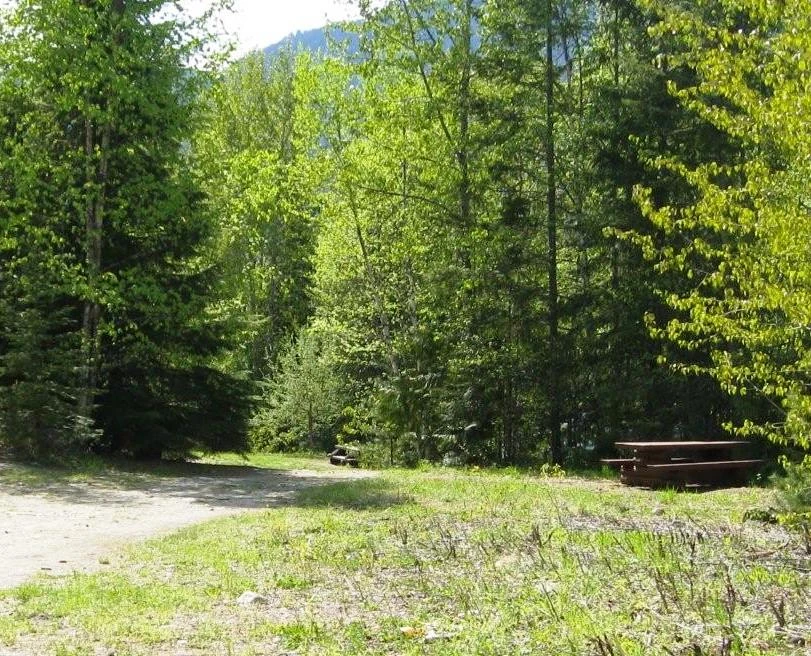 Photo: Recreation Sites and Trails BC. © Province of British Columbia, licensed under the Open Government Licence – British Columbia. Tsikwustum Creek North, photo 3