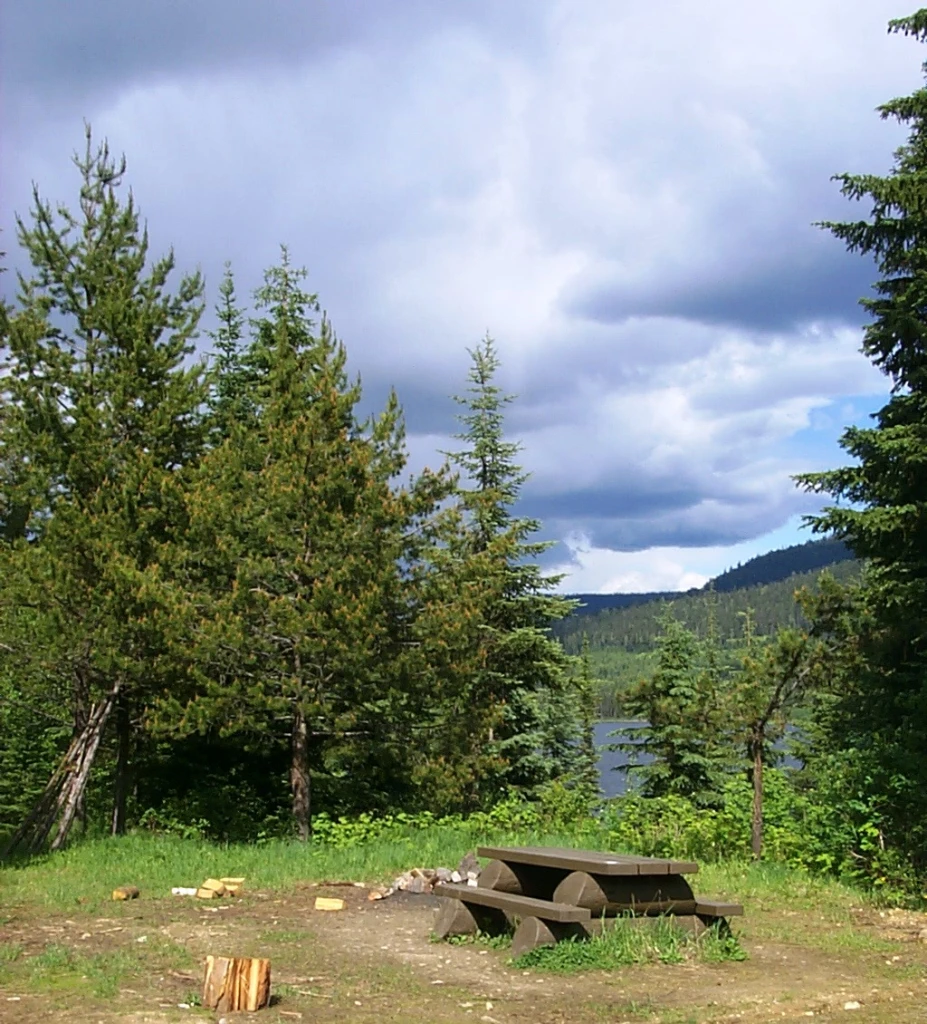 Photo: Recreation Sites and Trails BC. © Province of British Columbia, licensed under the Open Government Licence – British Columbia. Gannett Lake, photo 3