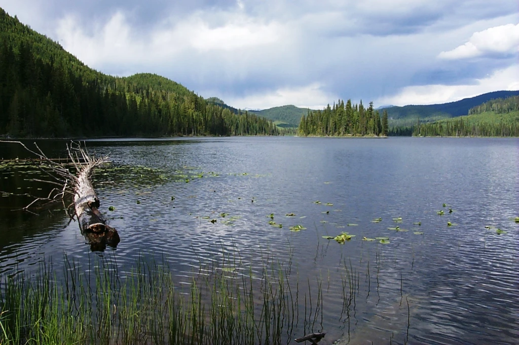 Photo: Recreation Sites and Trails BC. © Province of British Columbia, licensed under the Open Government Licence – British Columbia. Gannett Lake