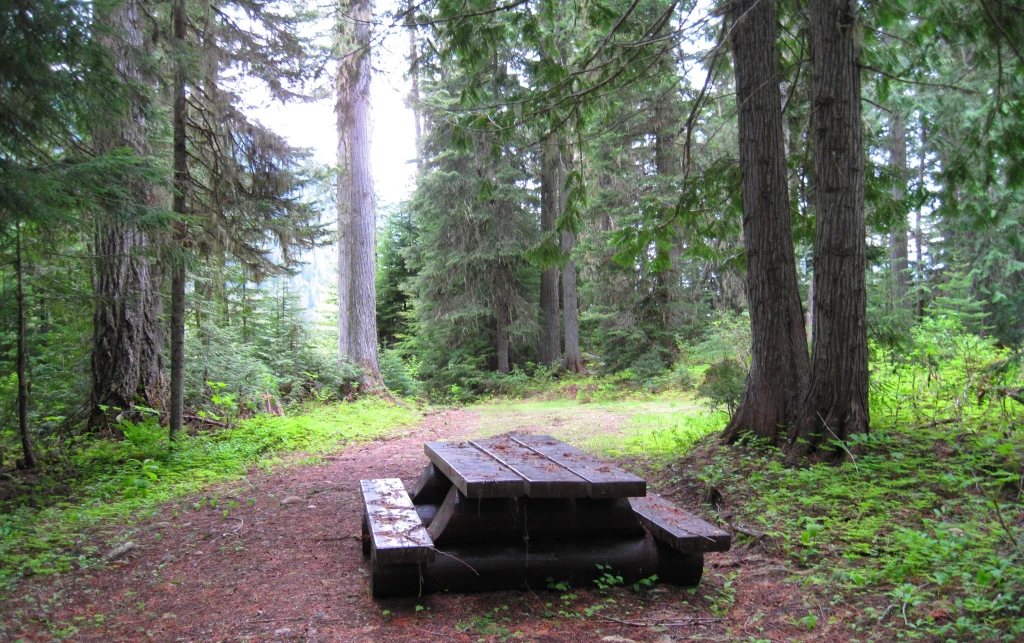 Photo: Recreation Sites and Trails BC. © Province of British Columbia, licensed under the Open Government Licence – British Columbia. Dennis Lake, photo 4