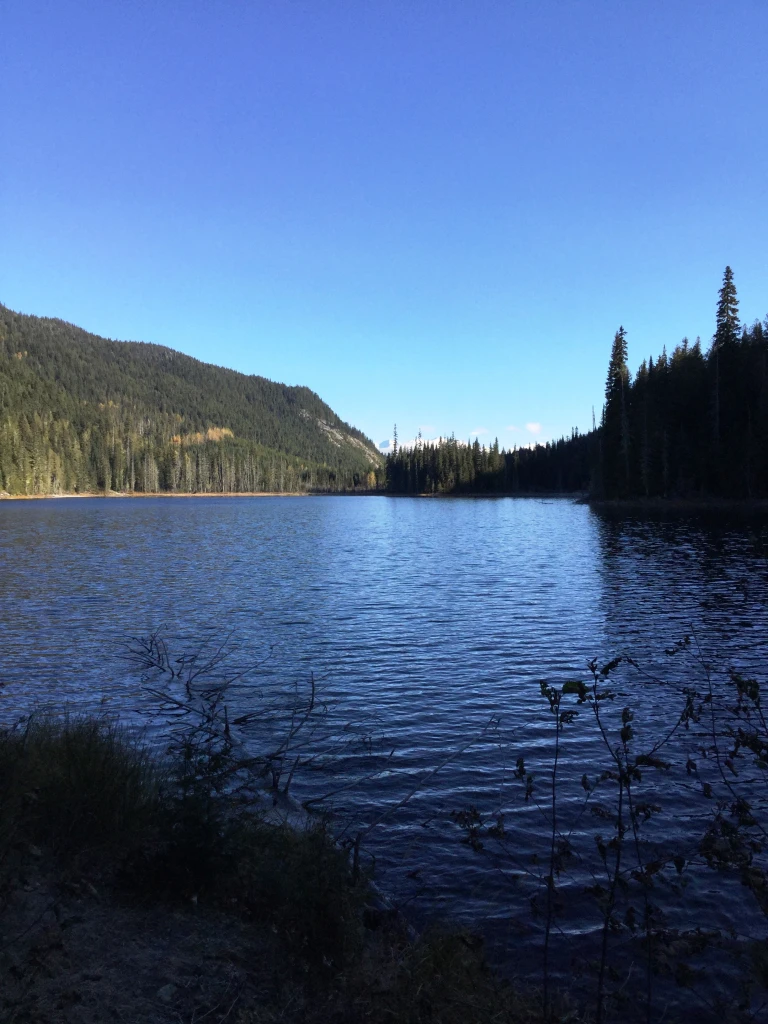 Photo: Recreation Sites and Trails BC. © Province of British Columbia, licensed under the Open Government Licence – British Columbia. Dennis Lake, photo 2
