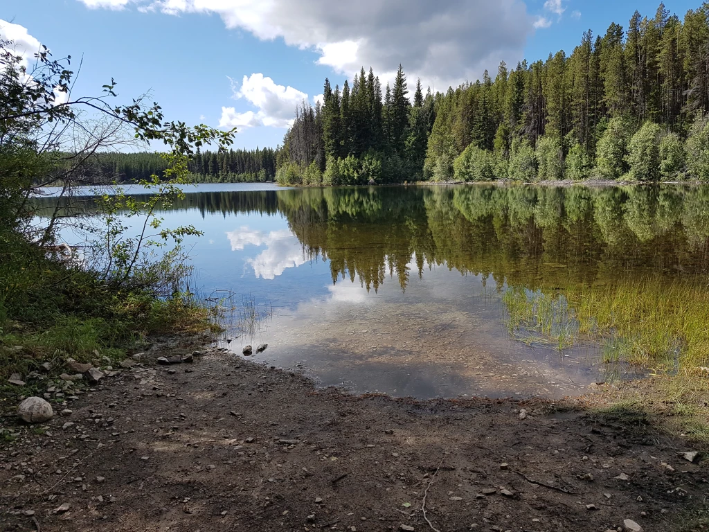 Photo: Recreation Sites and Trails BC. © Province of British Columbia, licensed under the Open Government Licence – British Columbia. Aileen Lake, photo 2