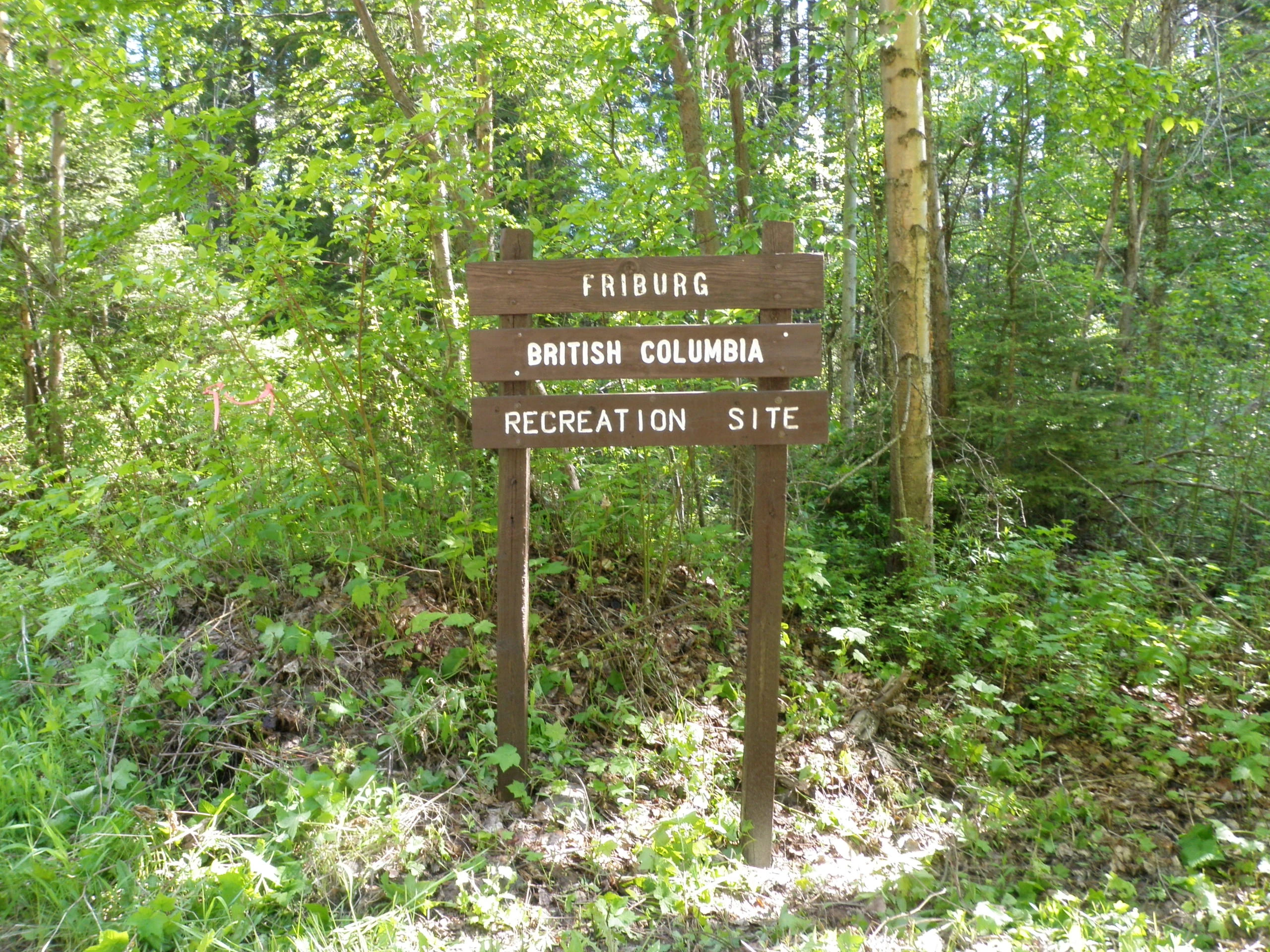 Photo: Recreation Sites and Trails BC. © Province of British Columbia, licensed under the Open Government Licence – British Columbia. Friburg, photo 5