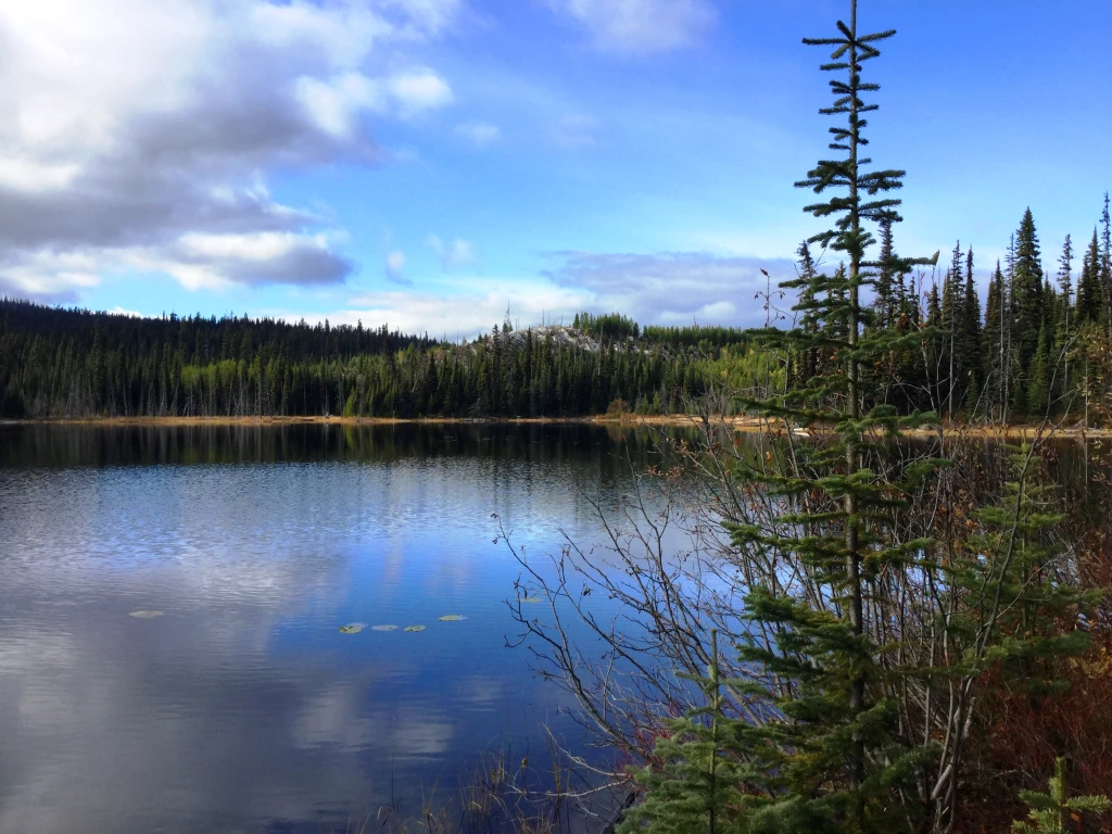 Photo: Recreation Sites and Trails BC. © Province of British Columbia, licensed under the Open Government Licence – British Columbia. Sock Lake, photo 2