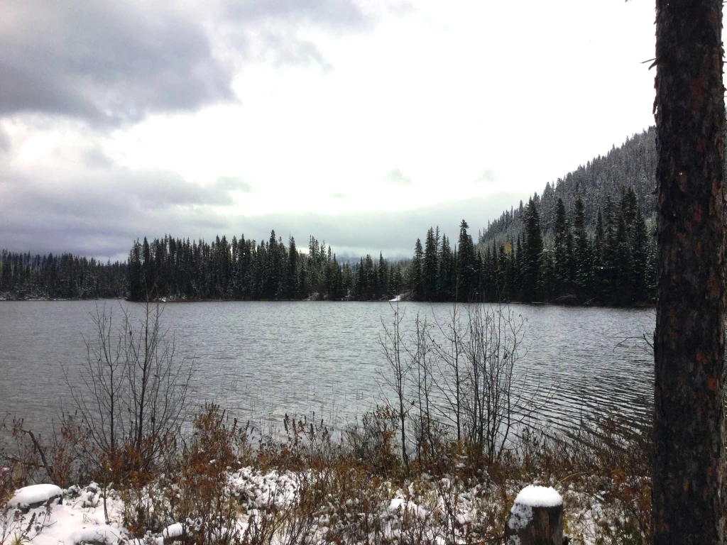 Photo: Recreation Sites and Trails BC. © Province of British Columbia, licensed under the Open Government Licence – British Columbia. Lawrence Lake West, photo 3