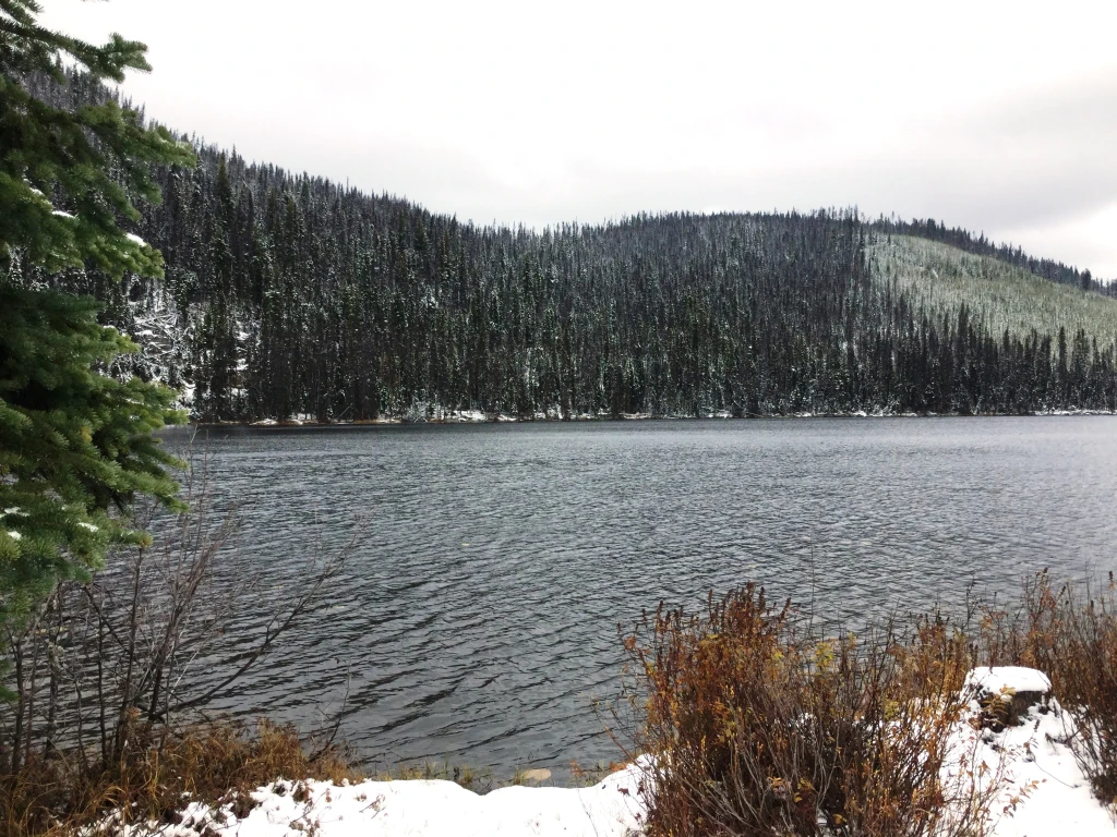 Photo: Recreation Sites and Trails BC. © Province of British Columbia, licensed under the Open Government Licence – British Columbia. Lawrence Lake West, photo 2