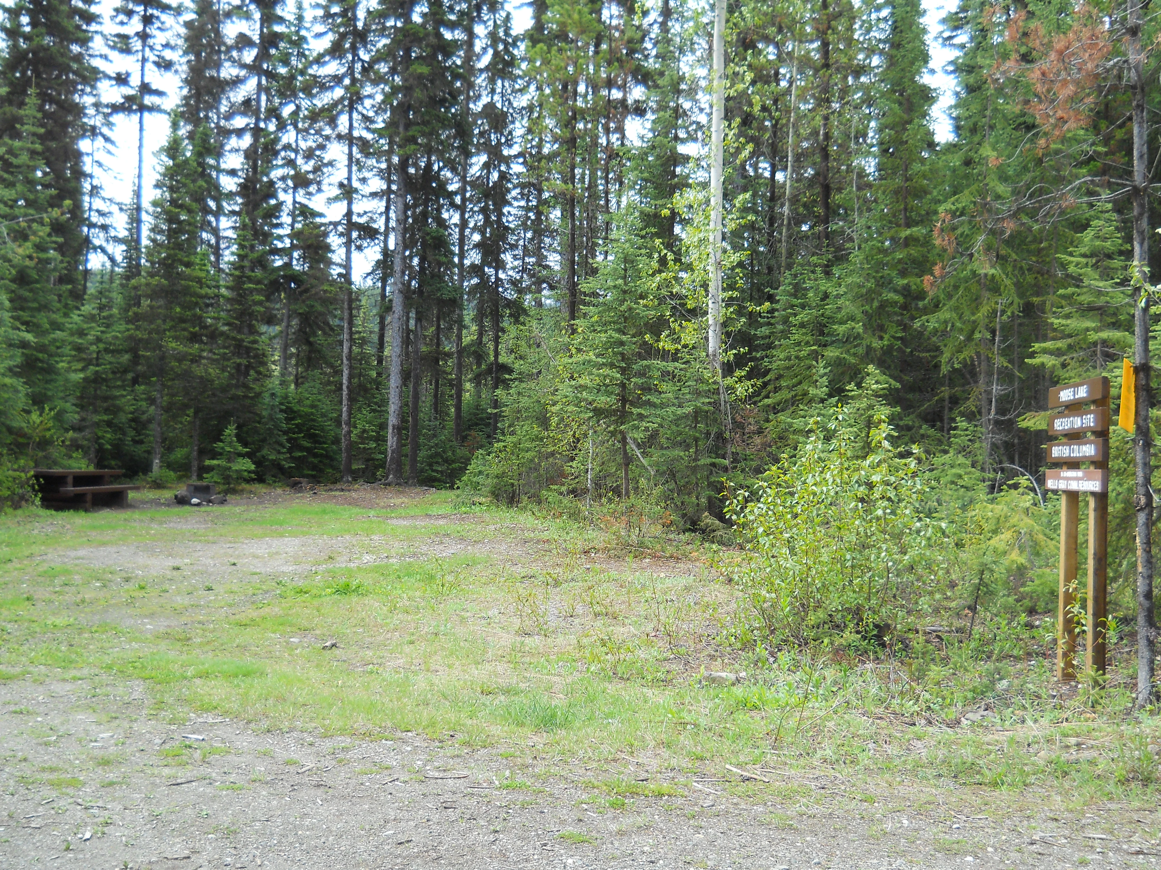 Photo: Recreation Sites and Trails BC. © Province of British Columbia, licensed under the Open Government Licence – British Columbia. Moose Lake, photo 2
