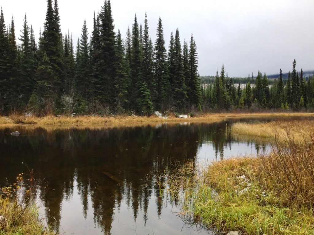 Photo: Recreation Sites and Trails BC. © Province of British Columbia, licensed under the Open Government Licence – British Columbia. Moose Lake