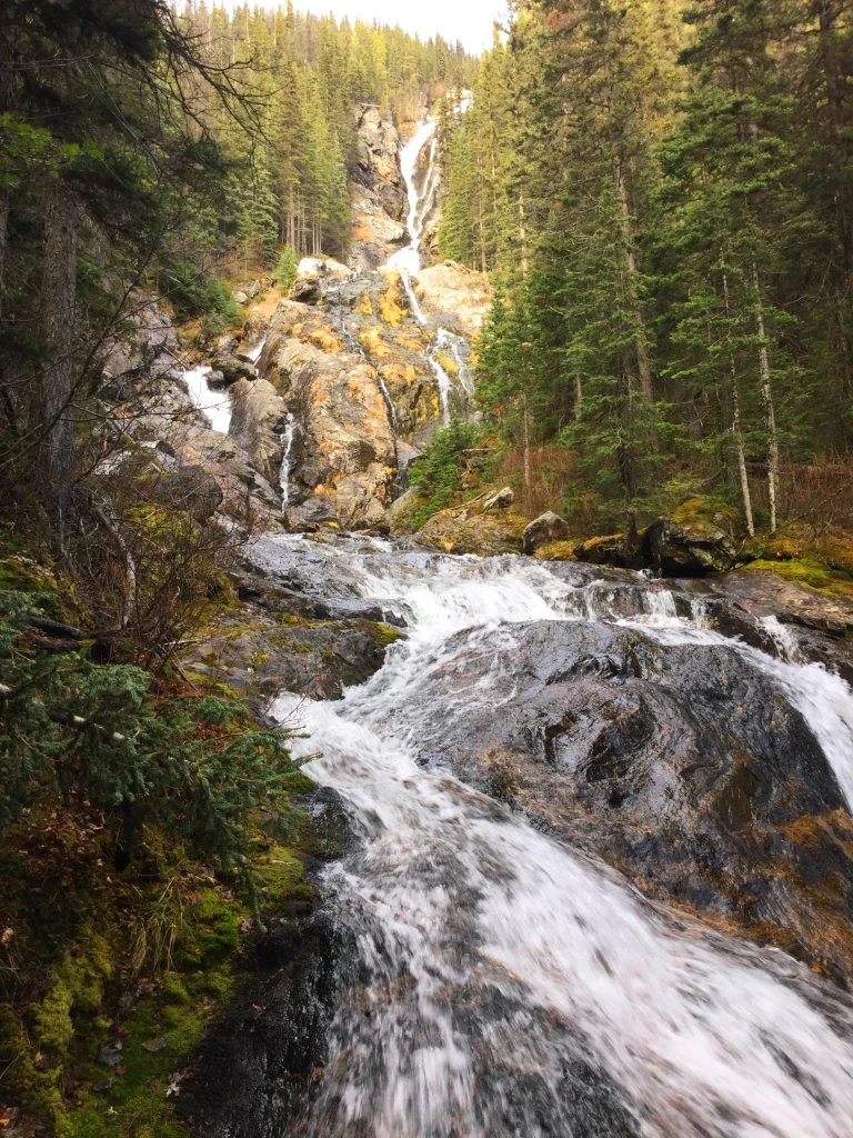 Photo: Recreation Sites and Trails BC. © Province of British Columbia, licensed under the Open Government Licence – British Columbia. Silvertip Falls