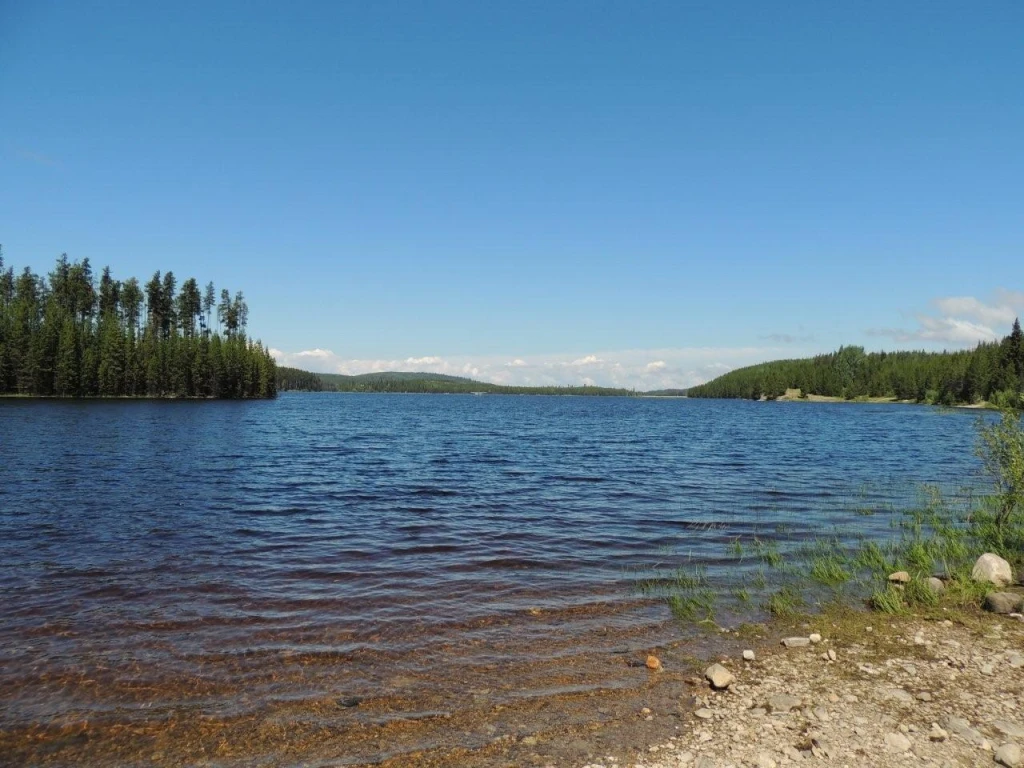 Photo: Recreation Sites and Trails BC. © Province of British Columbia, licensed under the Open Government Licence – British Columbia. McCULLOCH RESERVOIR, photo 4