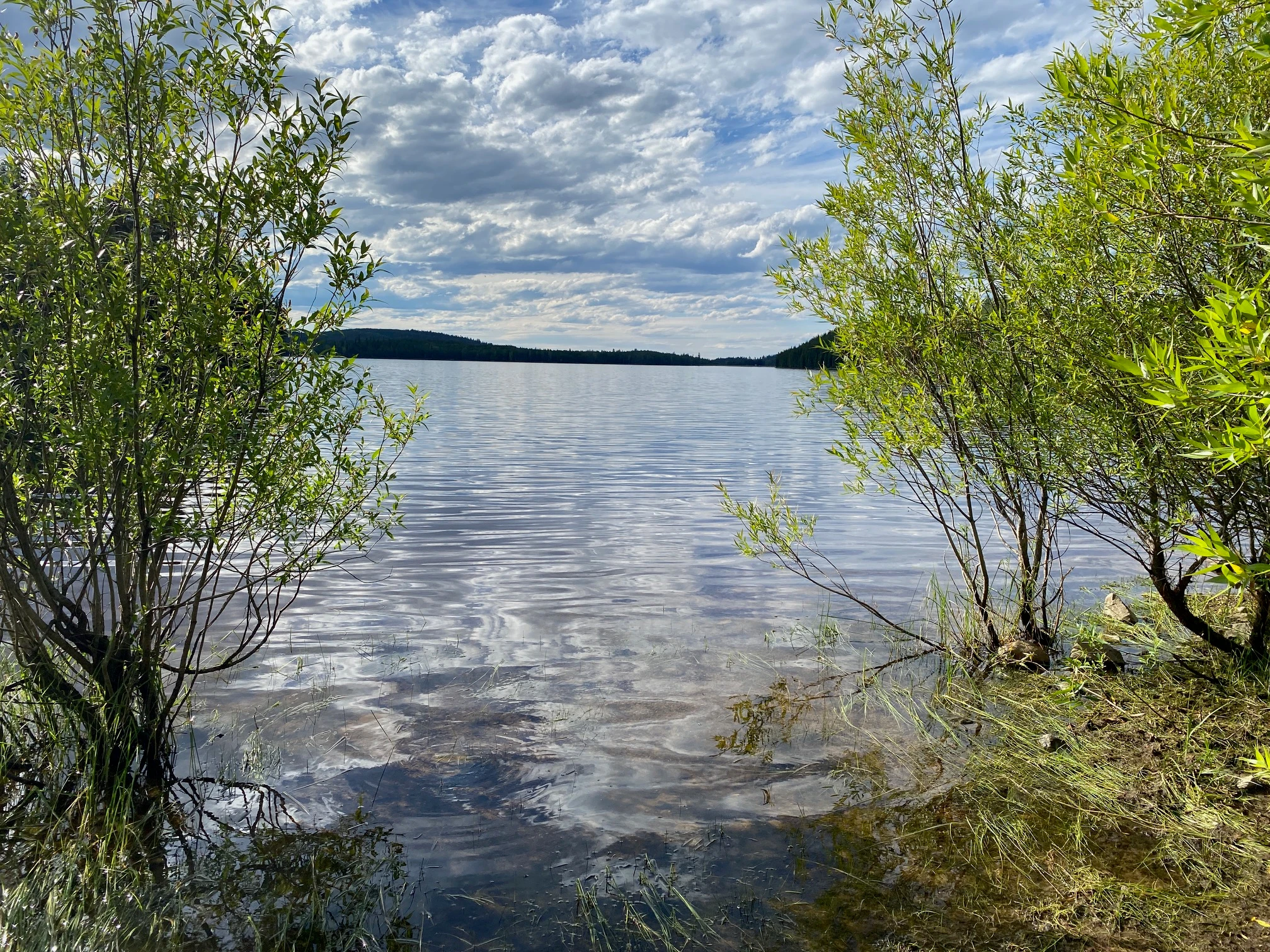 Photo: Recreation Sites and Trails BC. © Province of British Columbia, licensed under the Open Government Licence – British Columbia. McCULLOCH RESERVOIR, photo 2