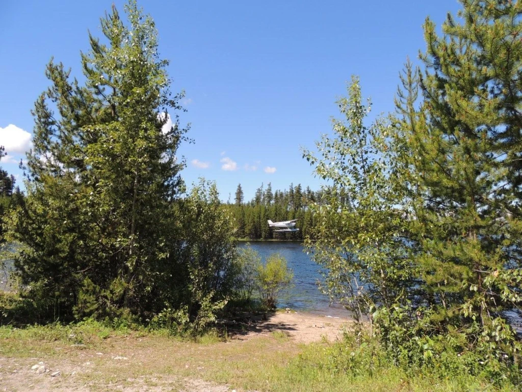 Photo: Recreation Sites and Trails BC. © Province of British Columbia, licensed under the Open Government Licence – British Columbia. McCULLOCH RESERVOIR, photo 7