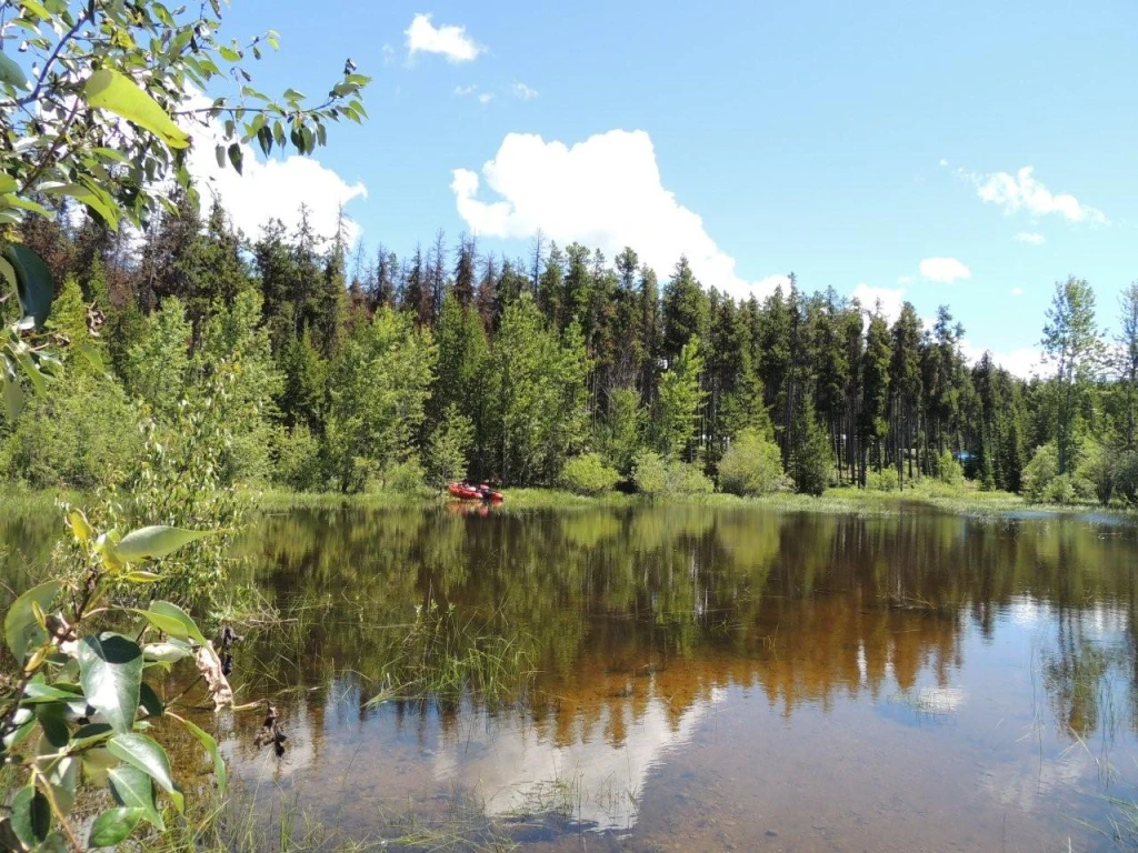 Photo: Recreation Sites and Trails BC. © Province of British Columbia, licensed under the Open Government Licence – British Columbia. McCULLOCH RESERVOIR, photo 11