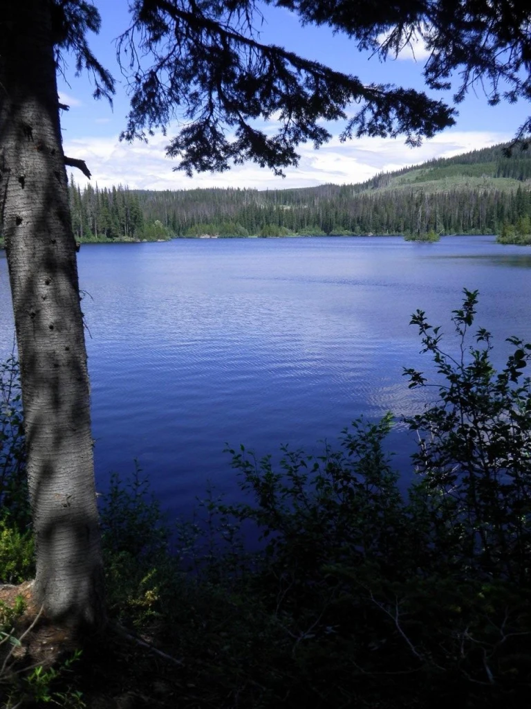Photo: Recreation Sites and Trails BC. © Province of British Columbia, licensed under the Open Government Licence – British Columbia. Islaht Lake, photo 5