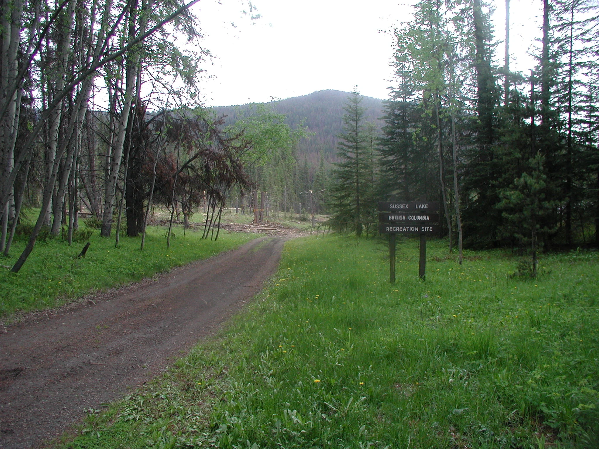 Photo: Recreation Sites and Trails BC. © Province of British Columbia, licensed under the Open Government Licence – British Columbia. Sussex Lake, photo 3